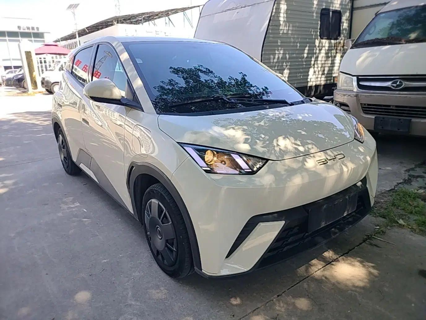 BYD Seagull 2024 Honor Edition 305km Dynamic Version — миниатюра 3