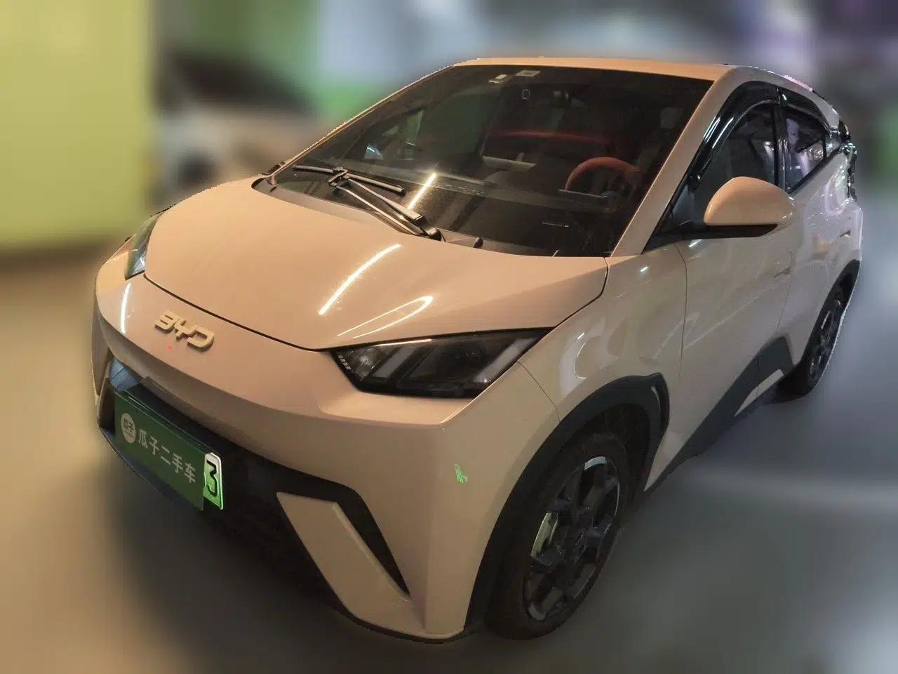 BYD Seagull 2025 305 km Free Version — миниатюра 1