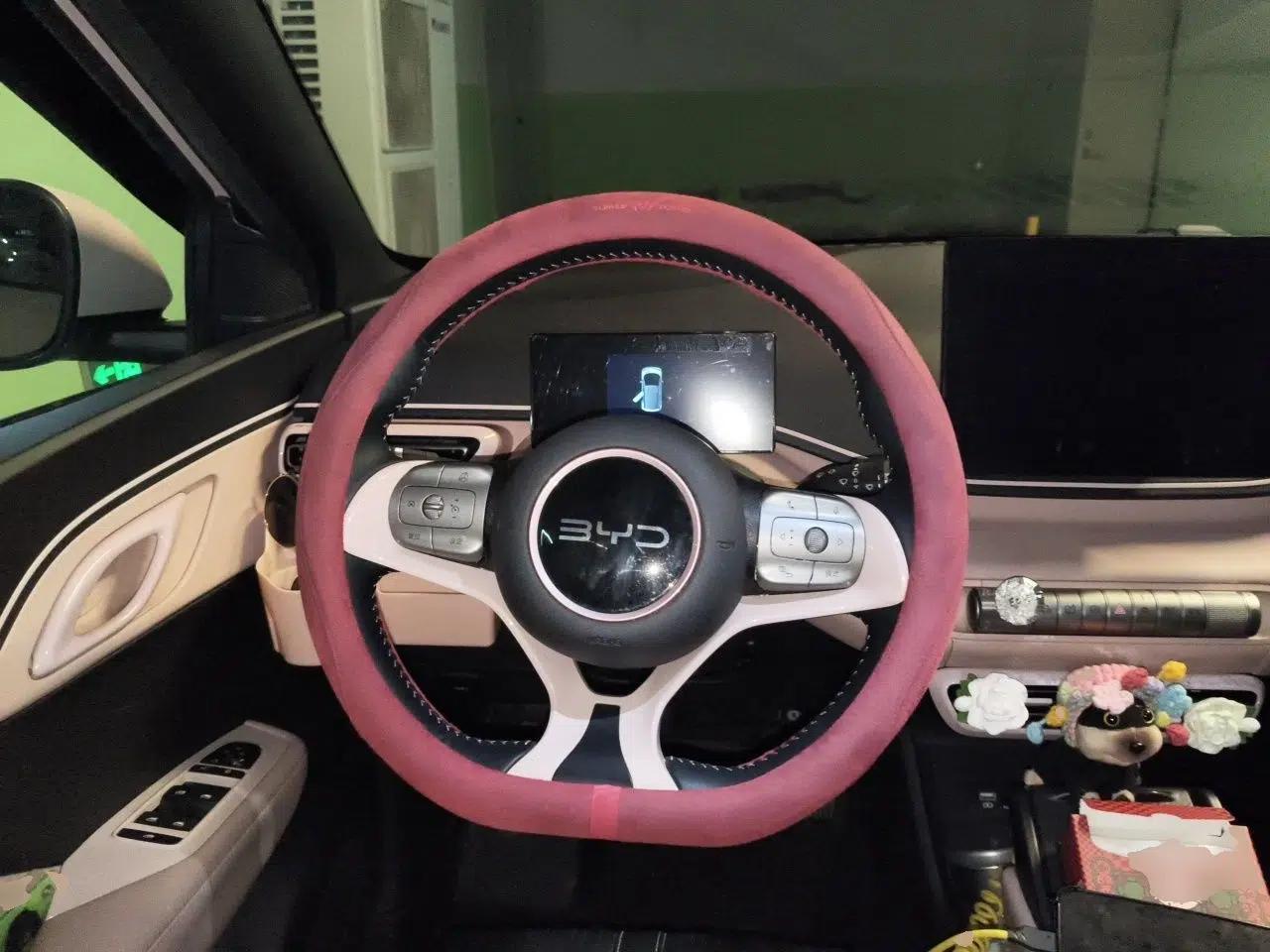 BYD Seagull 2025 305 km Free Version — миниатюра 10