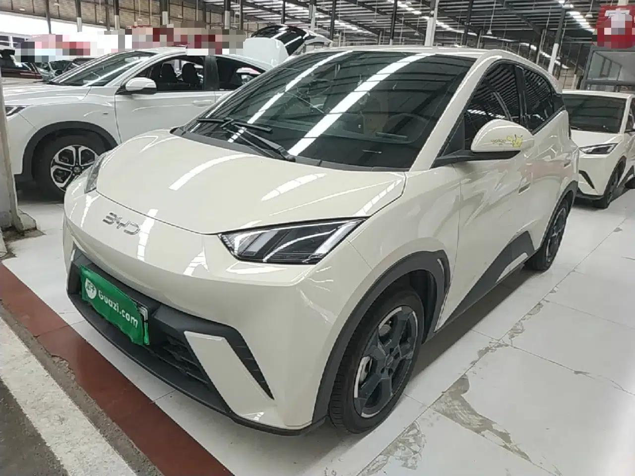 BYD Seagull 2023 Free Edition — миниатюра 1