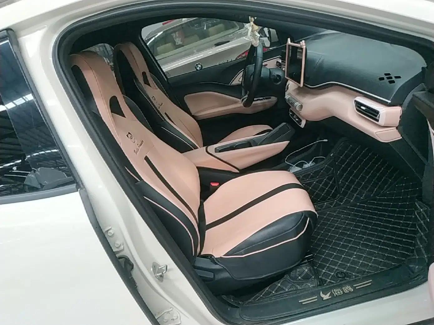 BYD Seagull 2023 Free Edition — миниатюра 24