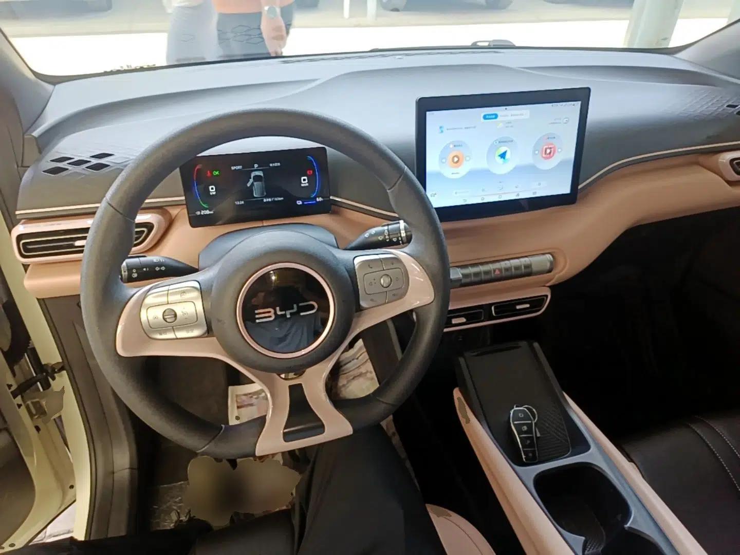 BYD Seagull 2024 Honor Edition 305km Dynamic Version — миниатюра 12