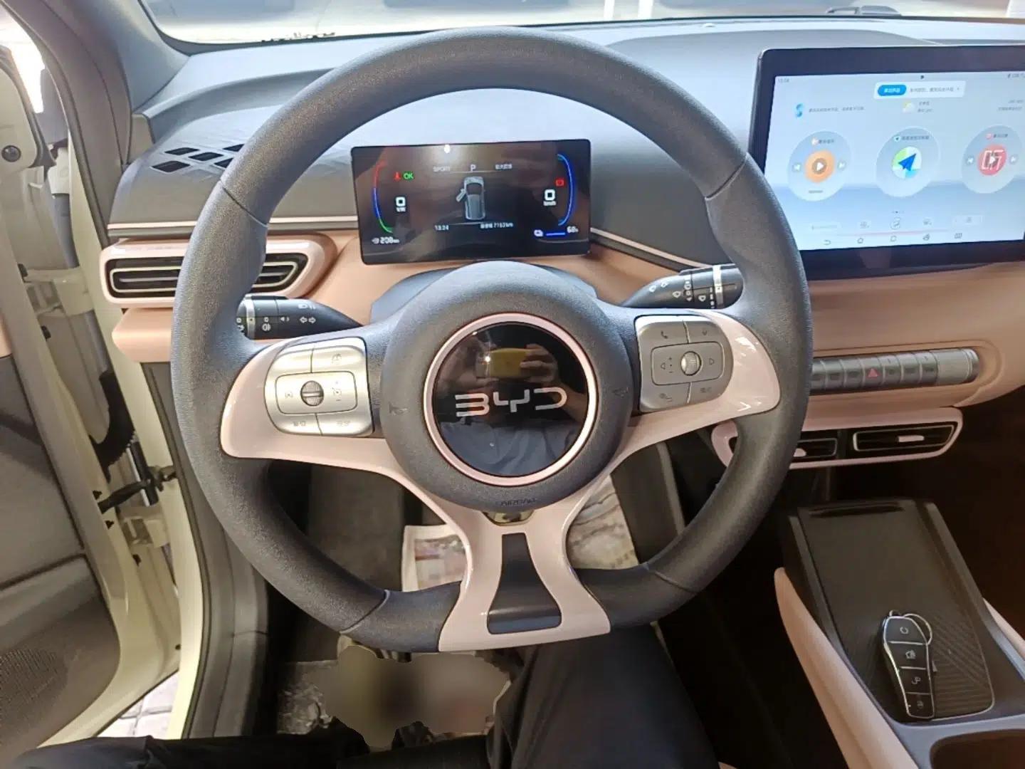 BYD Seagull 2024 Honor Edition 305km Dynamic Version — миниатюра 13
