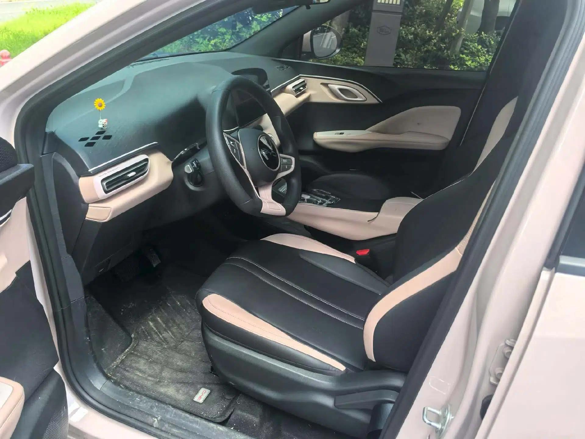 BYD Seagull 2025 Intelligent Driving Version 305 km Dynamic Edition — миниатюра 15