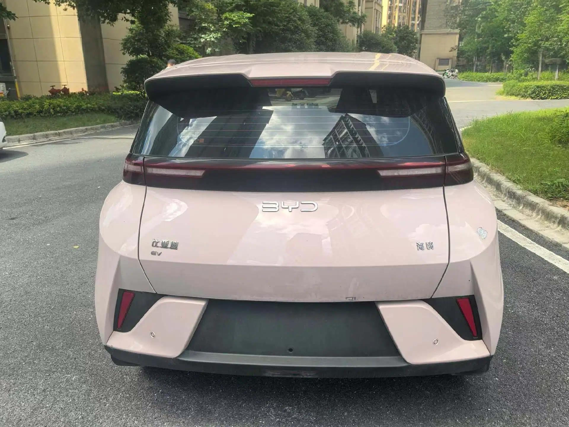 BYD Seagull 2025 Intelligent Driving Version 305 km Dynamic Edition — миниатюра 6