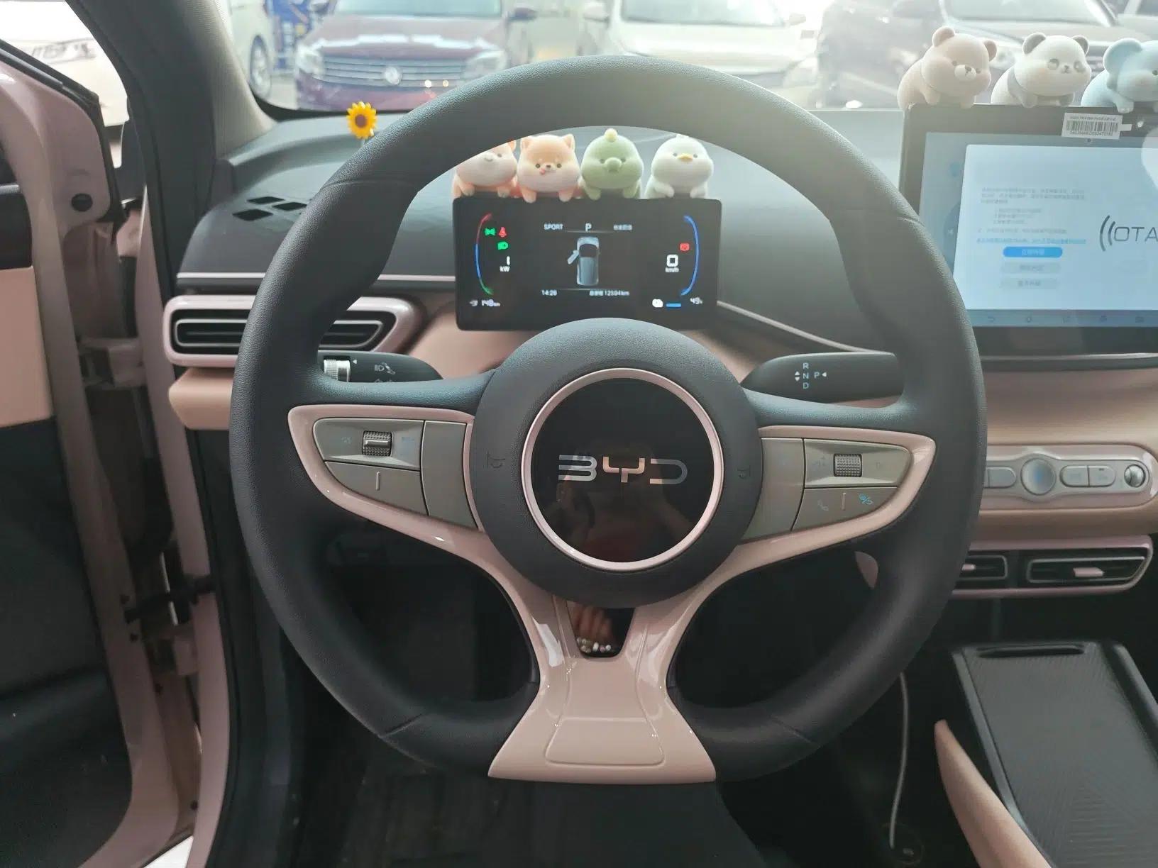 BYD Seagull 2025 Intelligent Driving Version 305 km Dynamic Edition — миниатюра 8