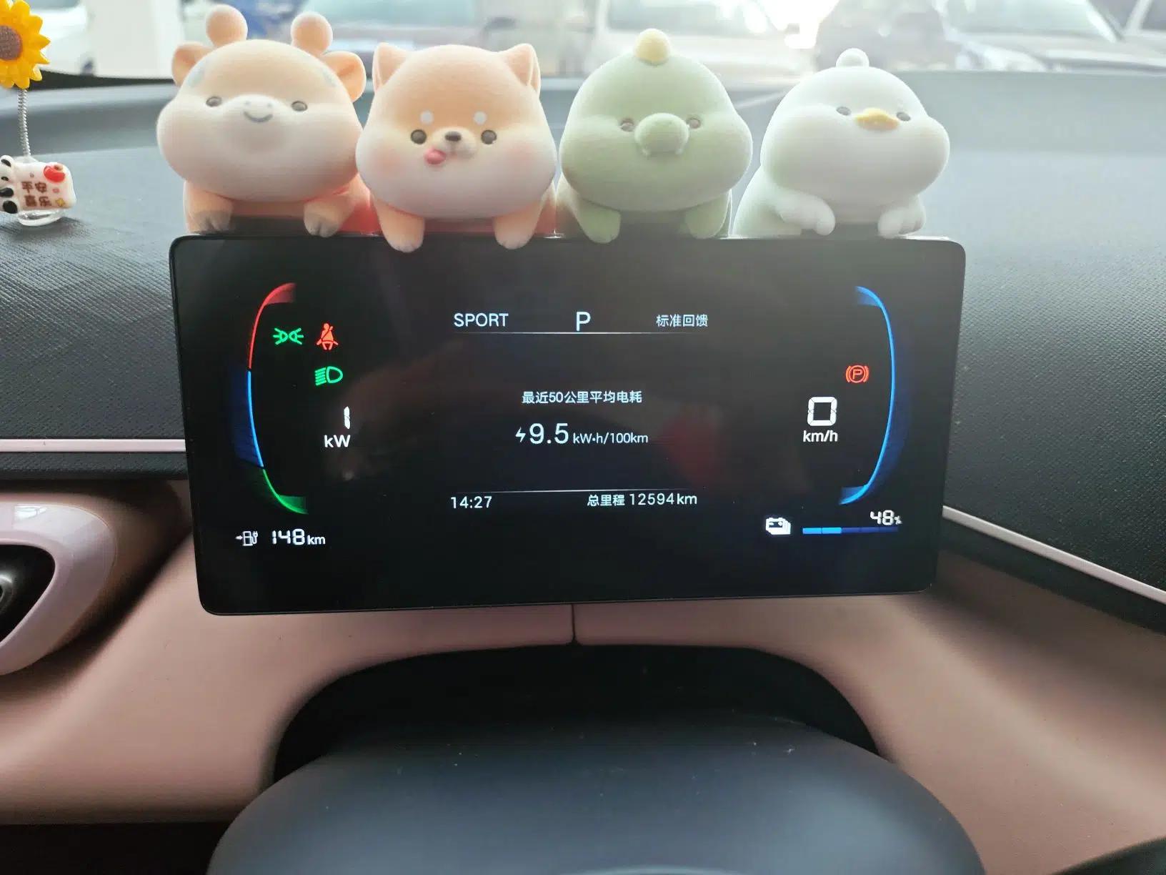 BYD Seagull 2025 Intelligent Driving Version 305 km Dynamic Edition — миниатюра 10