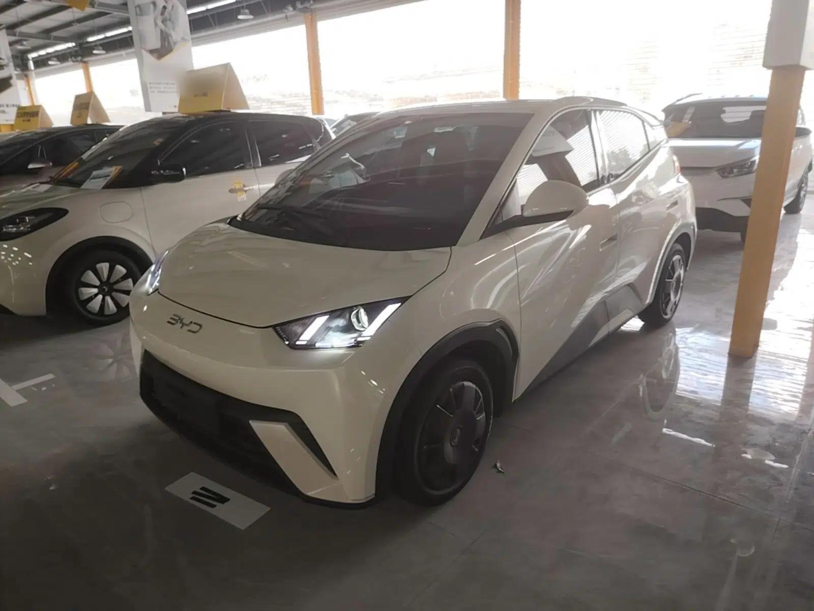 BYD Seagull 2024 Honor Edition 305km Dynamic Version — миниатюра 1