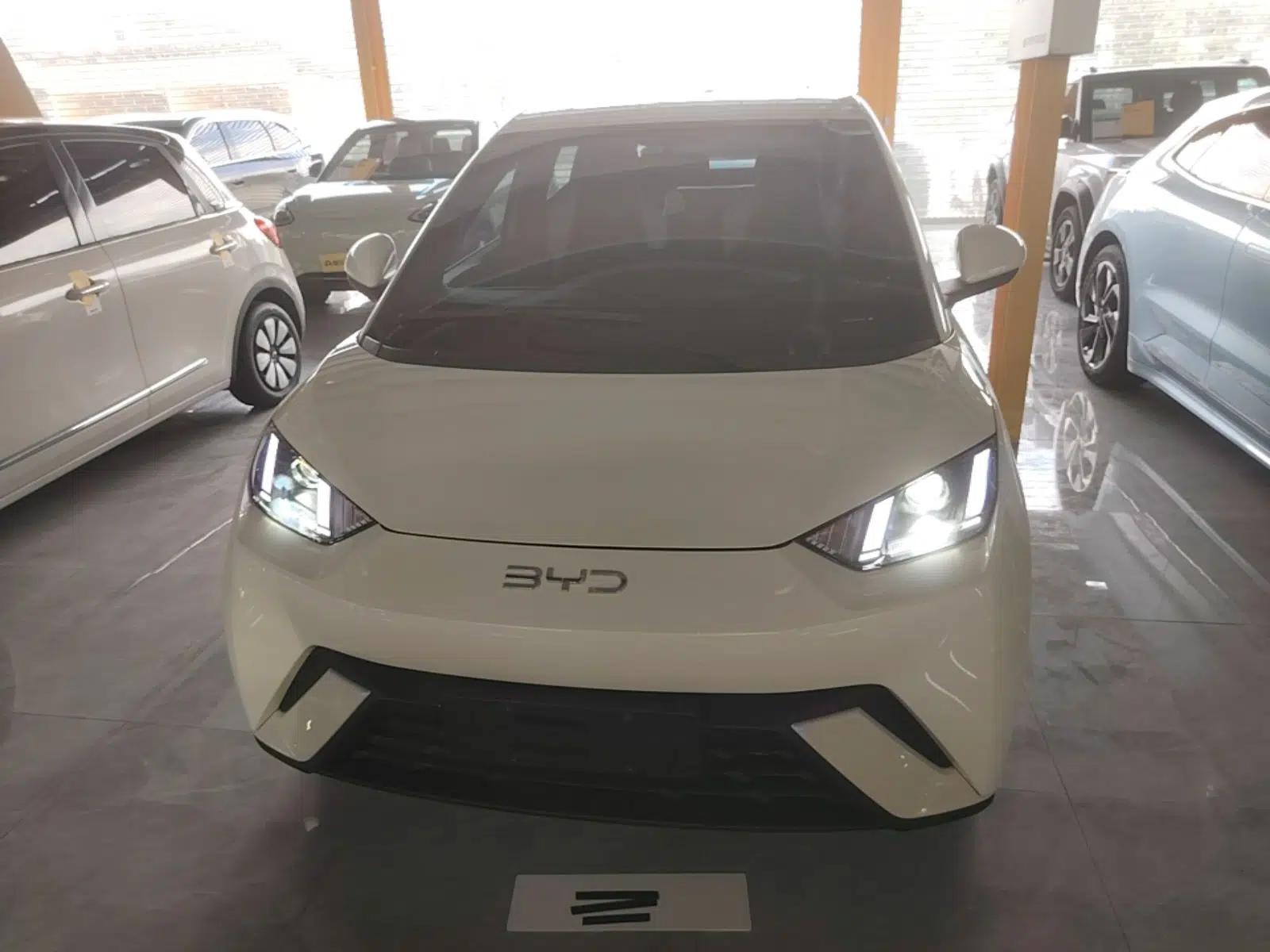 BYD Seagull 2024 Honor Edition 305km Dynamic Version — миниатюра 2
