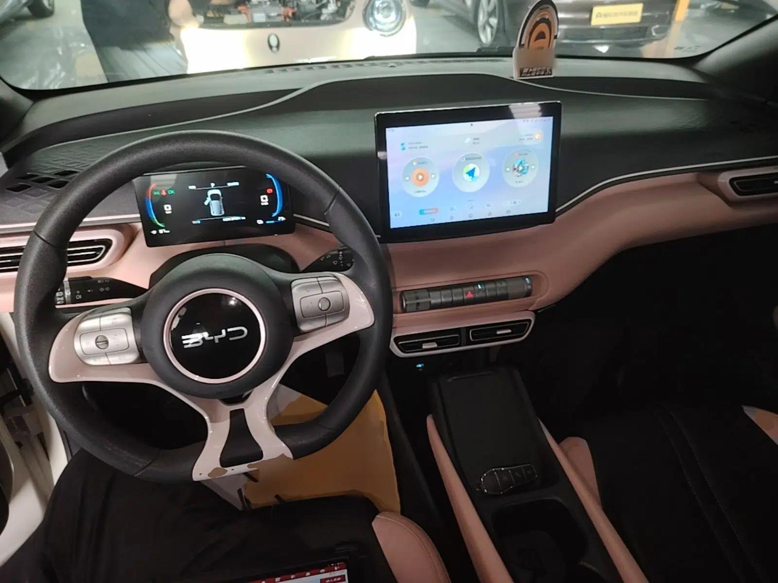 BYD Seagull 2024 Honor Edition 305km Dynamic Version — миниатюра 12
