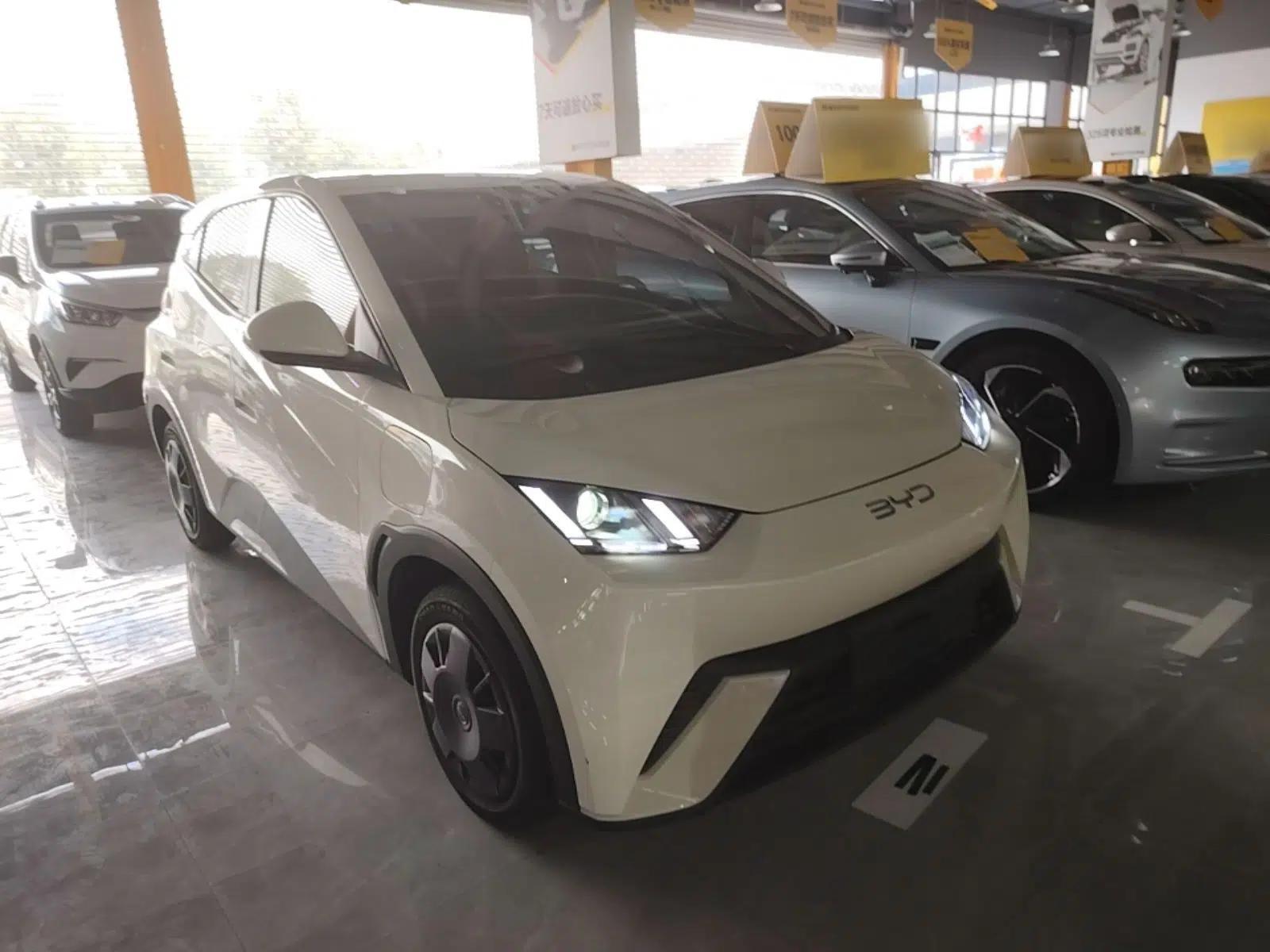 BYD Seagull 2024 Honor Edition 305km Dynamic Version — миниатюра 3