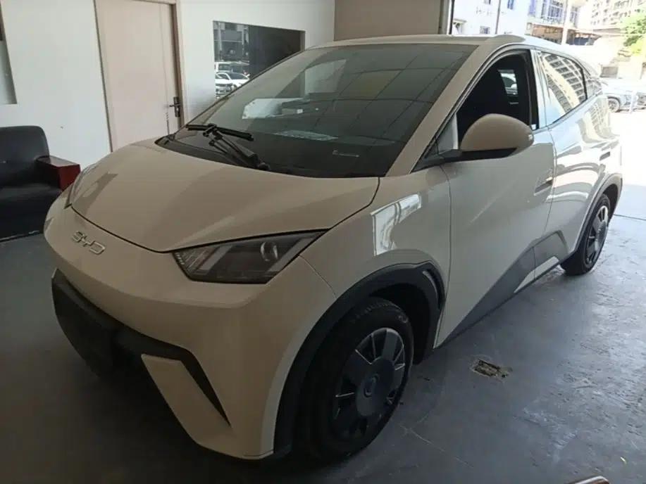 BYD Seagull 2024 Honor Edition 305km Dynamic Version — миниатюра 1