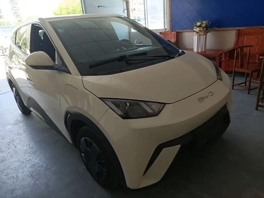 BYD Seagull 2024 Honor Edition 305km Dynamic Version — миниатюра 3