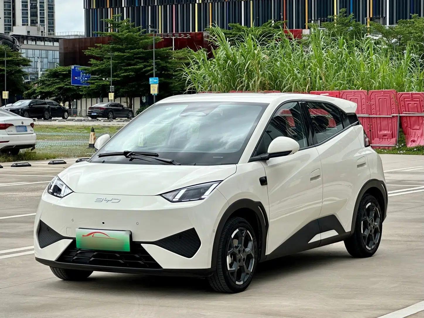 BYD Seagull 2025 Smart Drive Version 305 km Freedom Edition — миниатюра 1