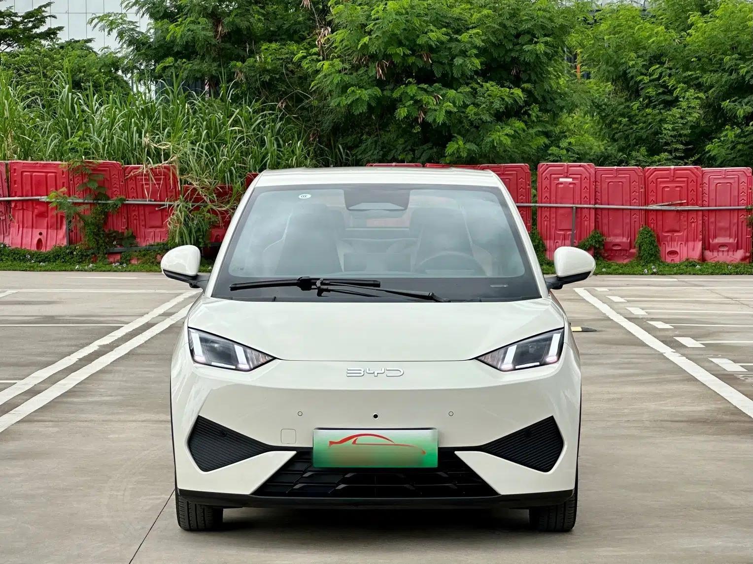 BYD Seagull 2025 Smart Drive Version 305 km Freedom Edition — миниатюра 12