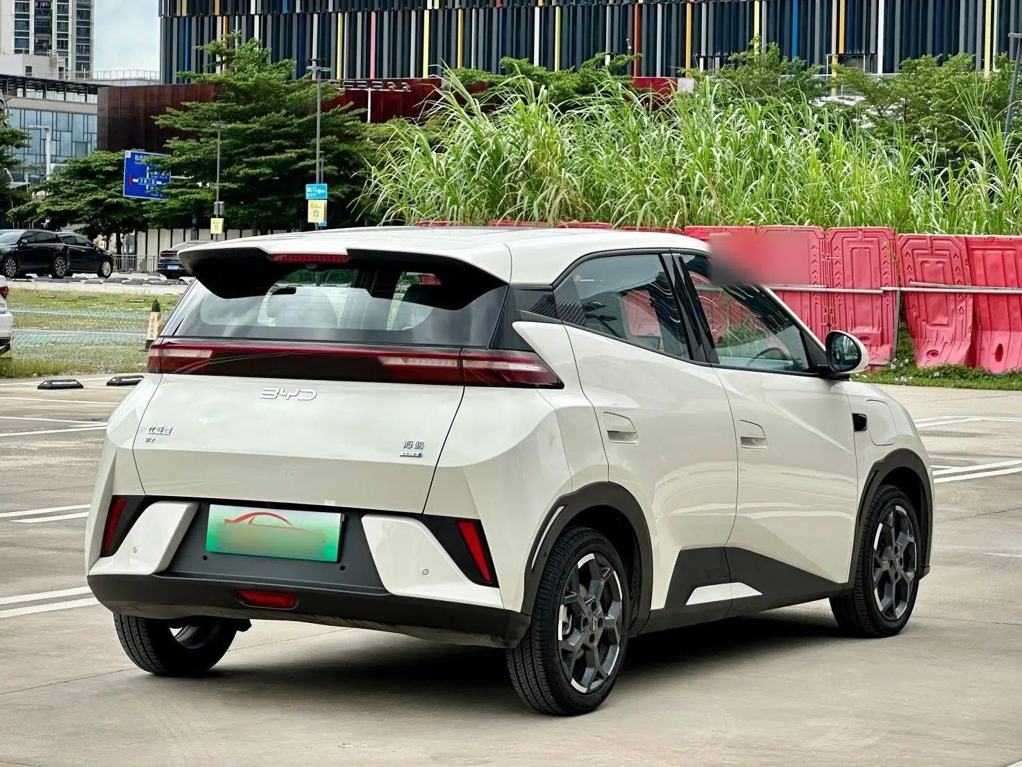 BYD Seagull 2025 Smart Drive Version 305 km Freedom Edition — миниатюра 14