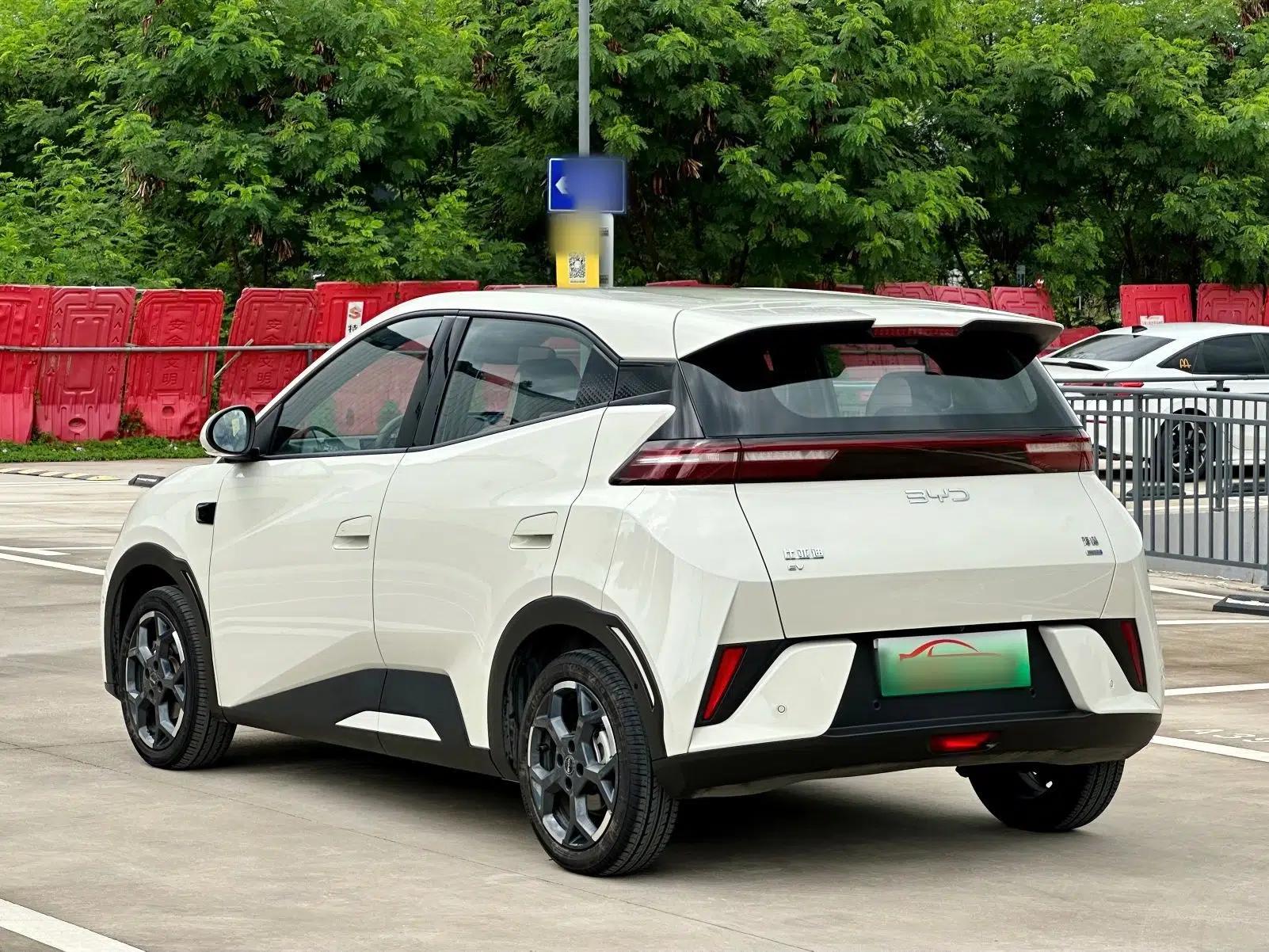 BYD Seagull 2025 Smart Drive Version 305 km Freedom Edition — миниатюра 16