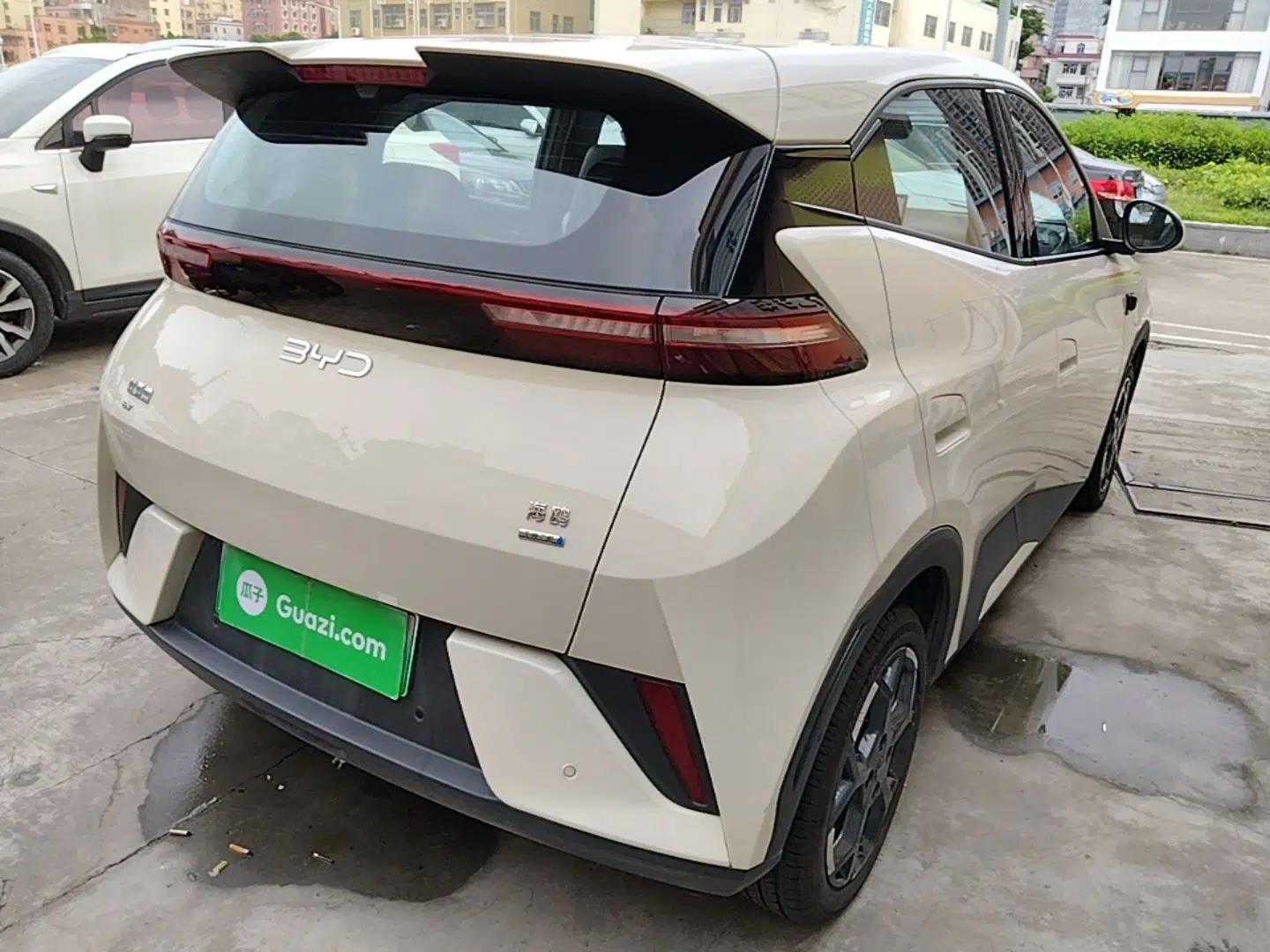 BYD Seagull 2025 Smart Drive Version 305 km Freedom Edition — миниатюра 6