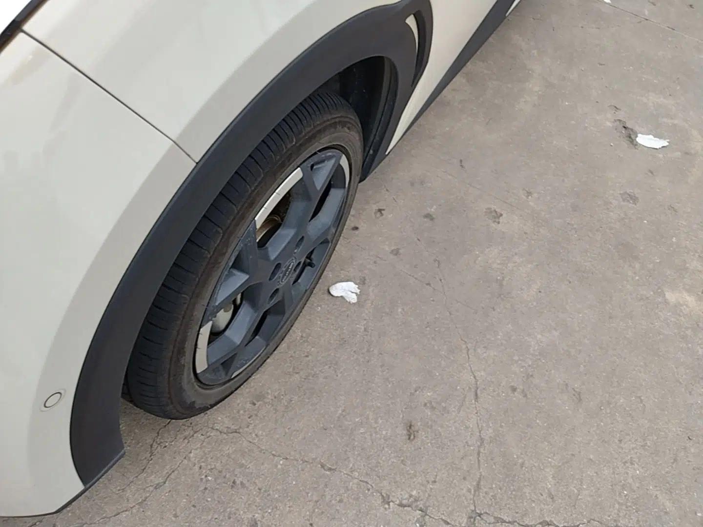 BYD Seagull 2025 Smart Drive Version 305 km Freedom Edition — миниатюра 10