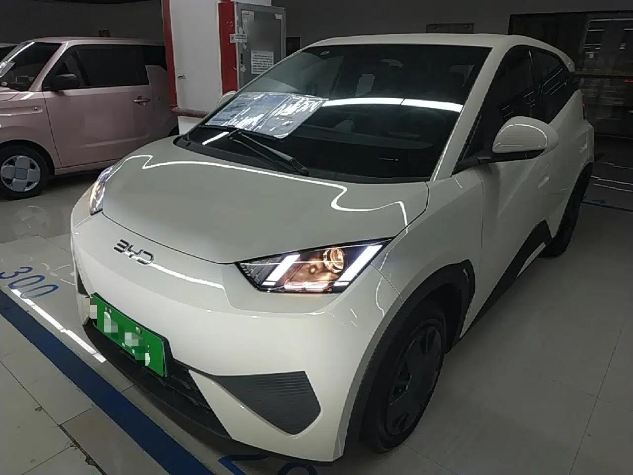 BYD Seagull 2025 Intelligent Driving Version 305 km Dynamic Edition — миниатюра 1