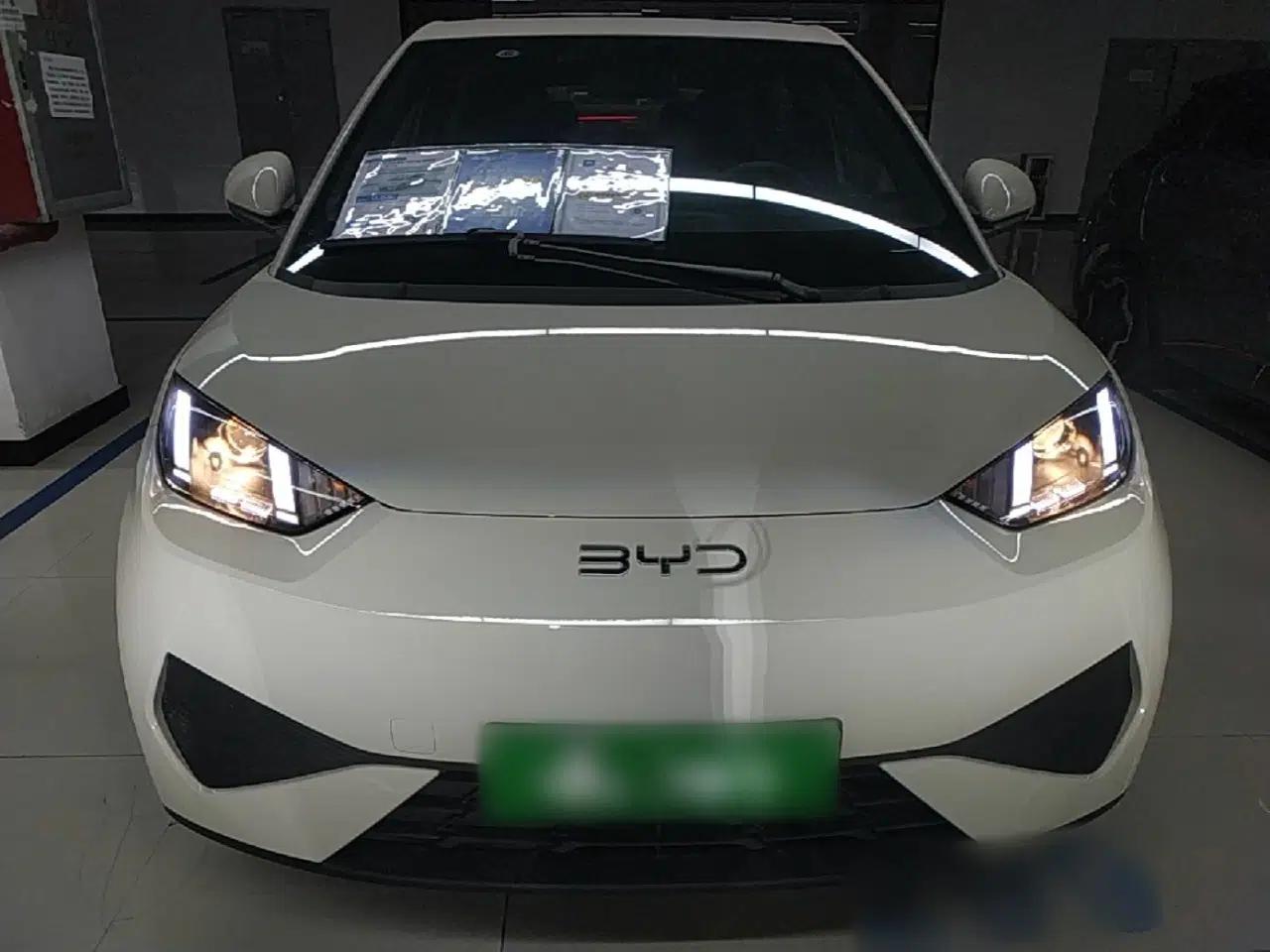 BYD Seagull 2025 Intelligent Driving Version 305 km Dynamic Edition — миниатюра 2