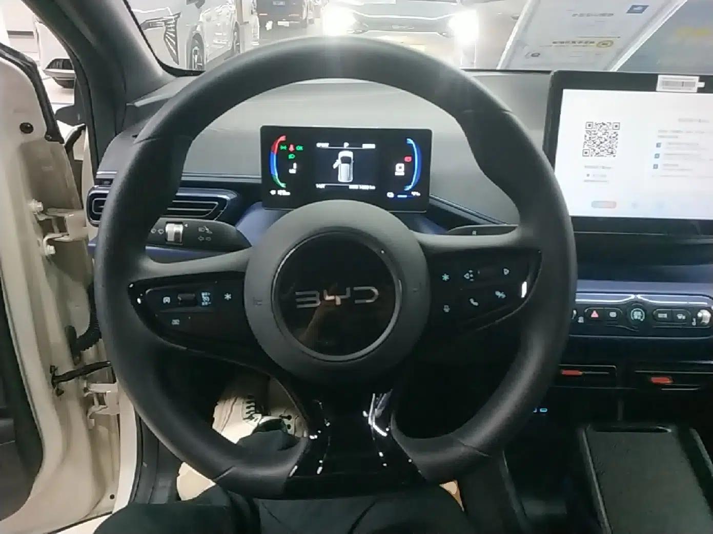 BYD Seagull 2025 Intelligent Driving Version 305 km Dynamic Edition — миниатюра 13