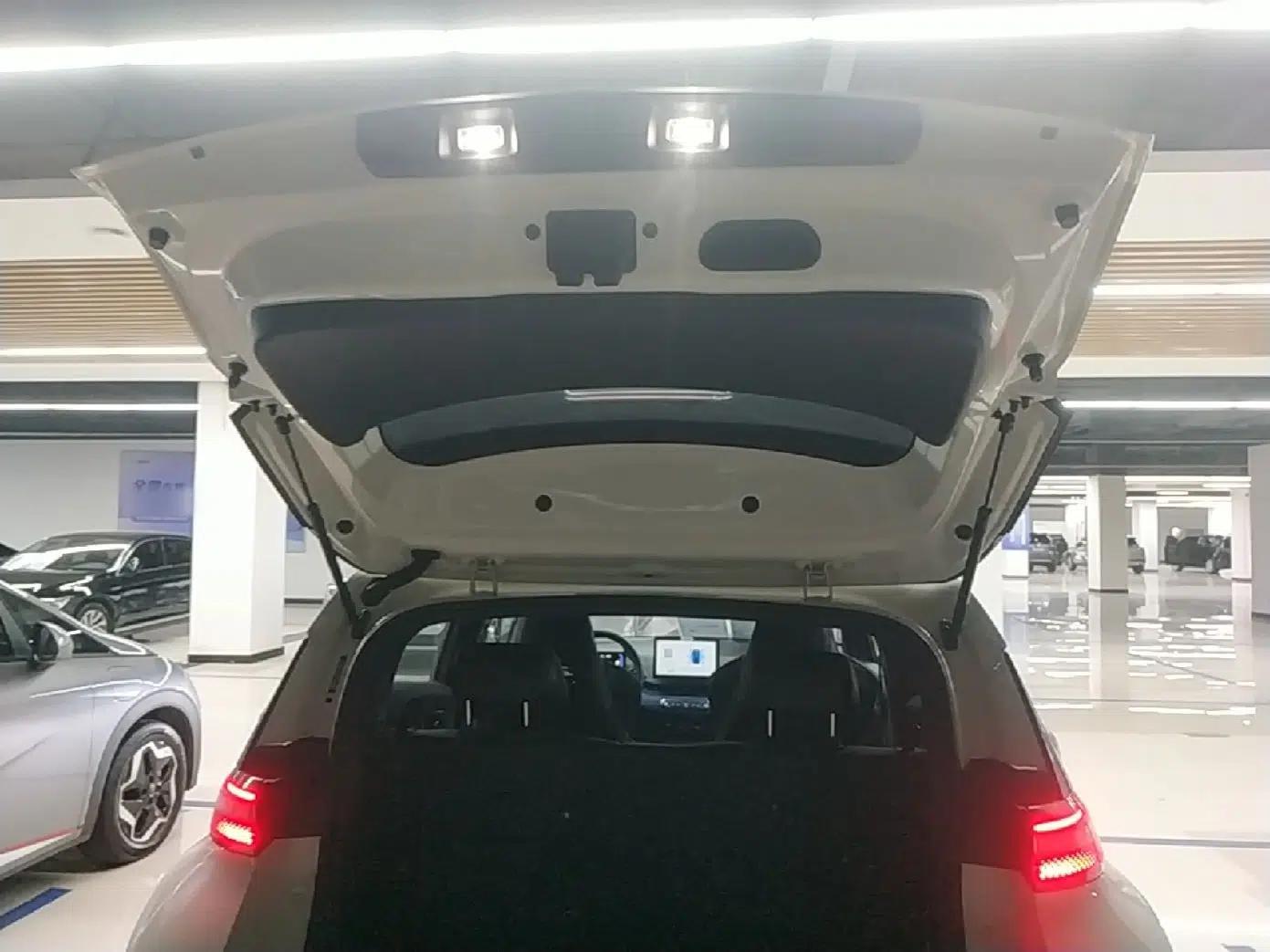 BYD Seagull 2025 Intelligent Driving Version 305 km Dynamic Edition — миниатюра 22