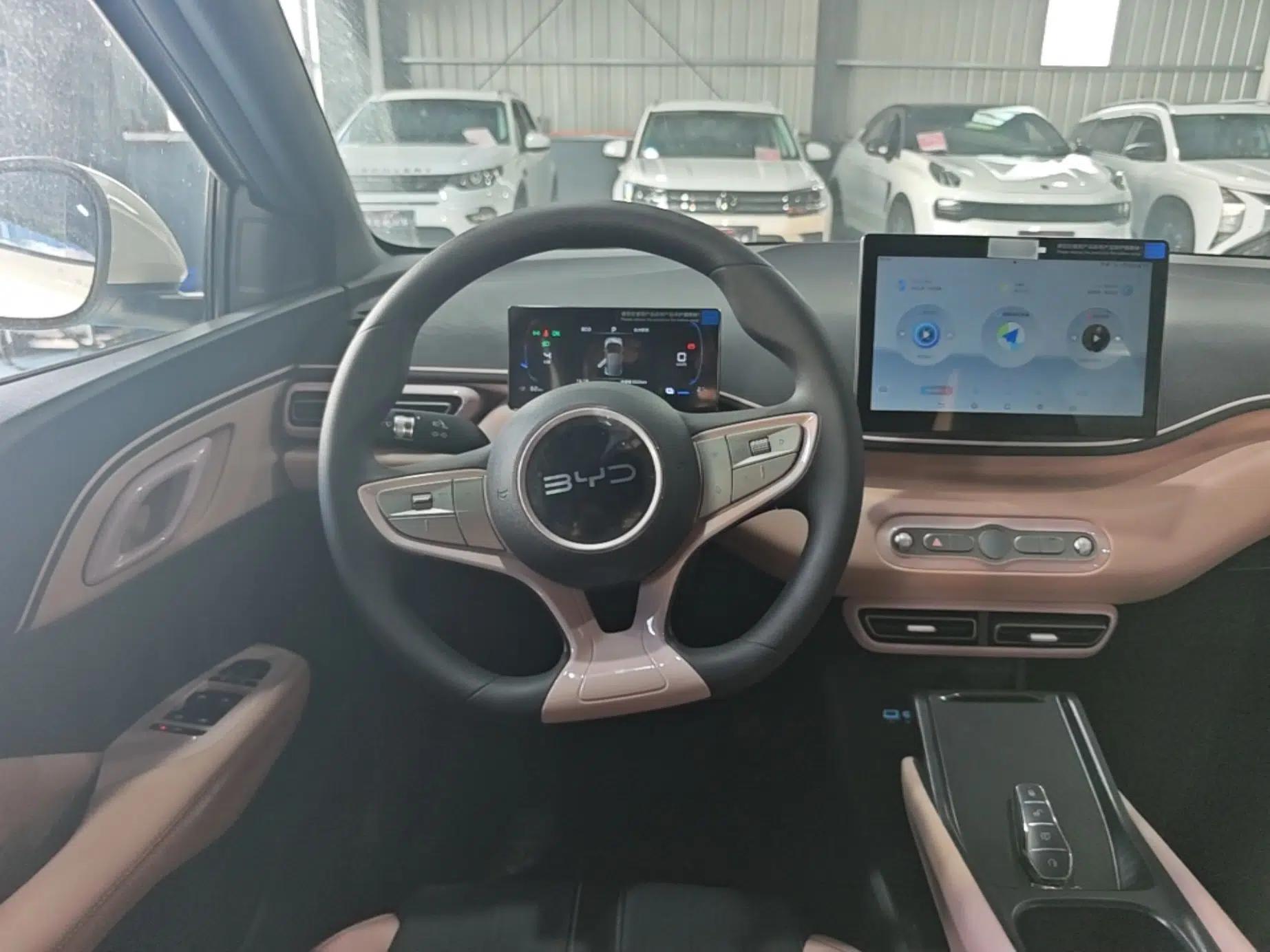 BYD Seagull 2025 Intelligent Driving Version 305 km Dynamic Edition — миниатюра 13