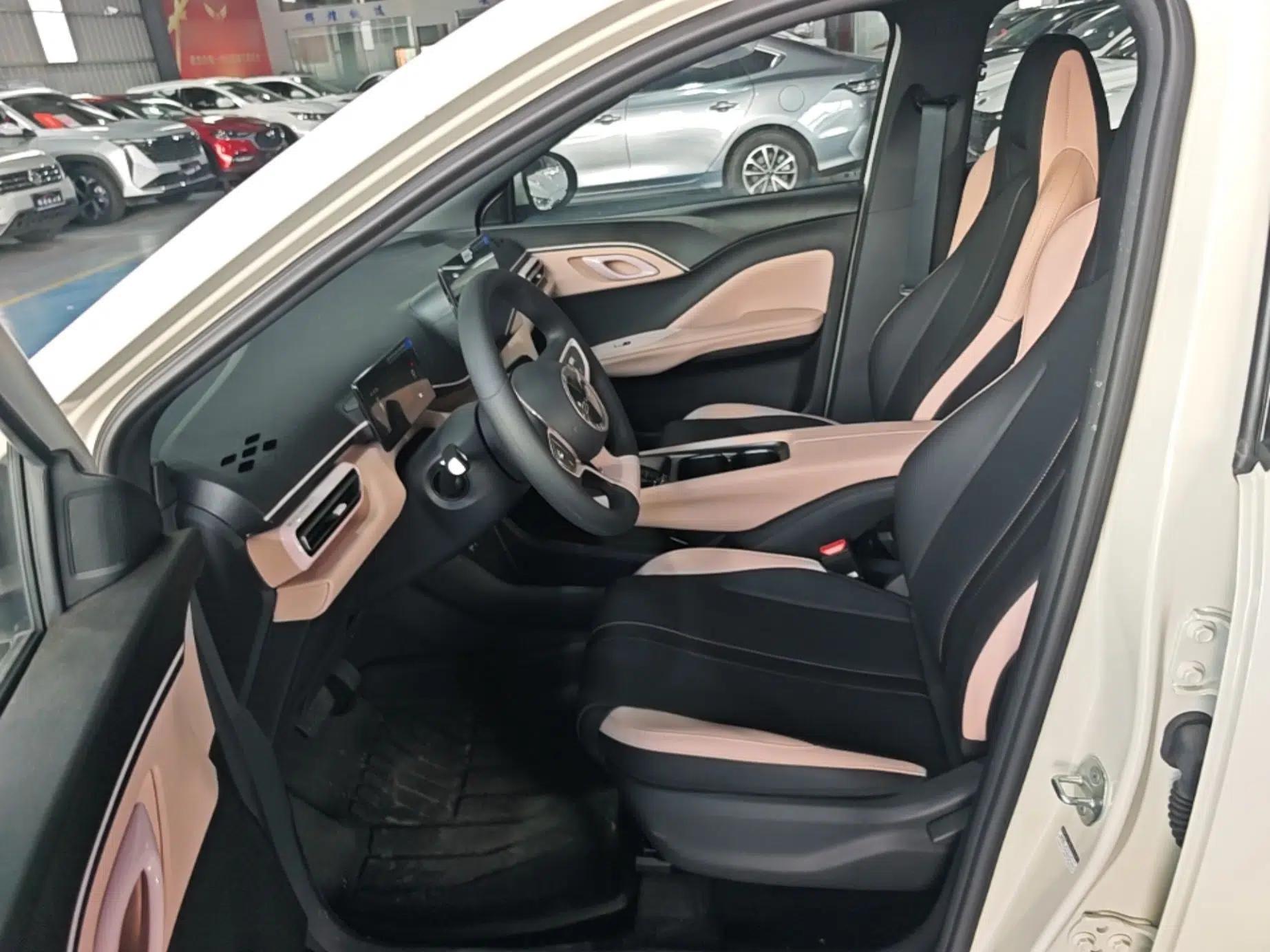 BYD Seagull 2025 Intelligent Driving Version 305 km Dynamic Edition — миниатюра 17