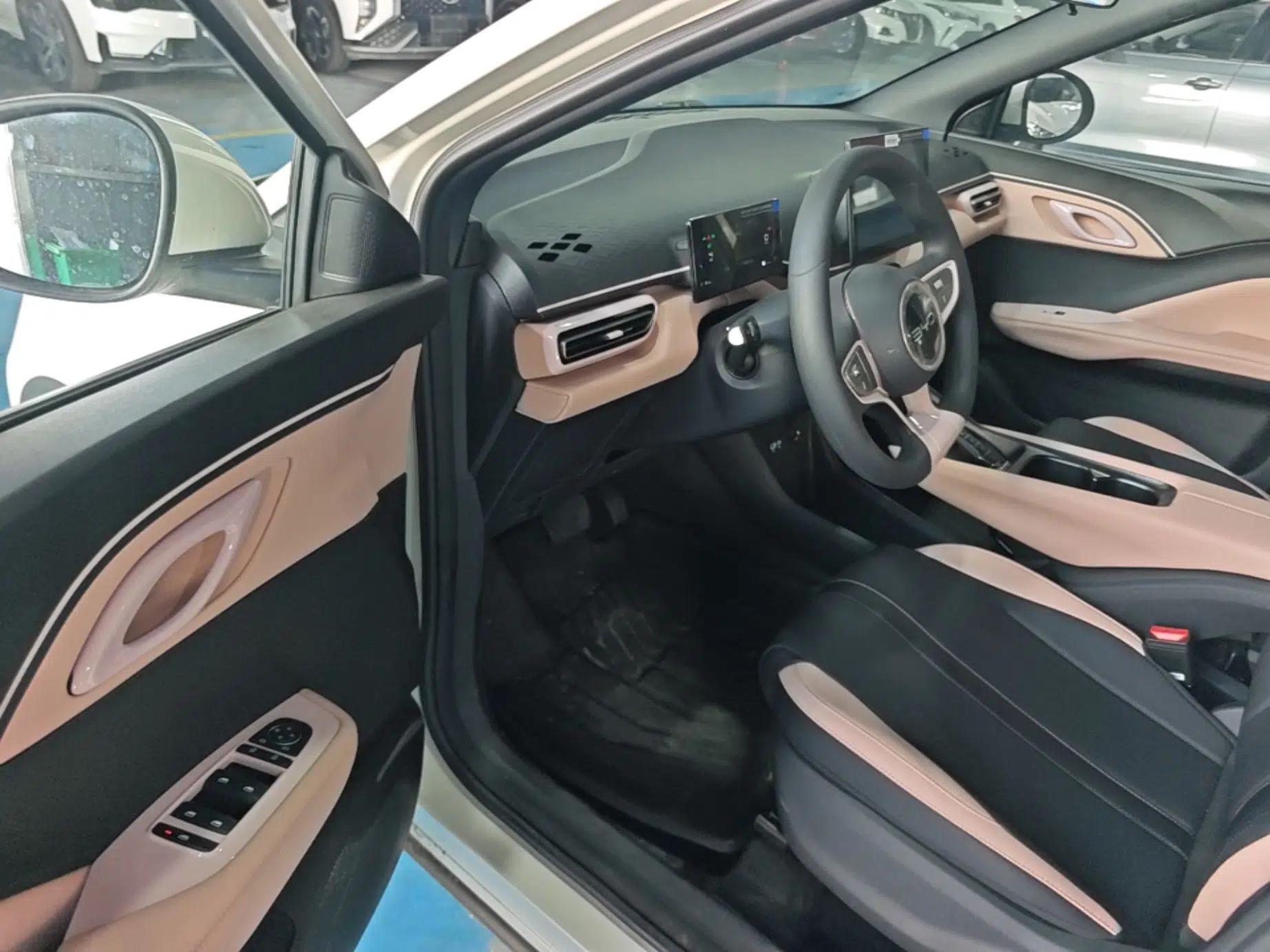 BYD Seagull 2025 Intelligent Driving Version 305 km Dynamic Edition — миниатюра 18