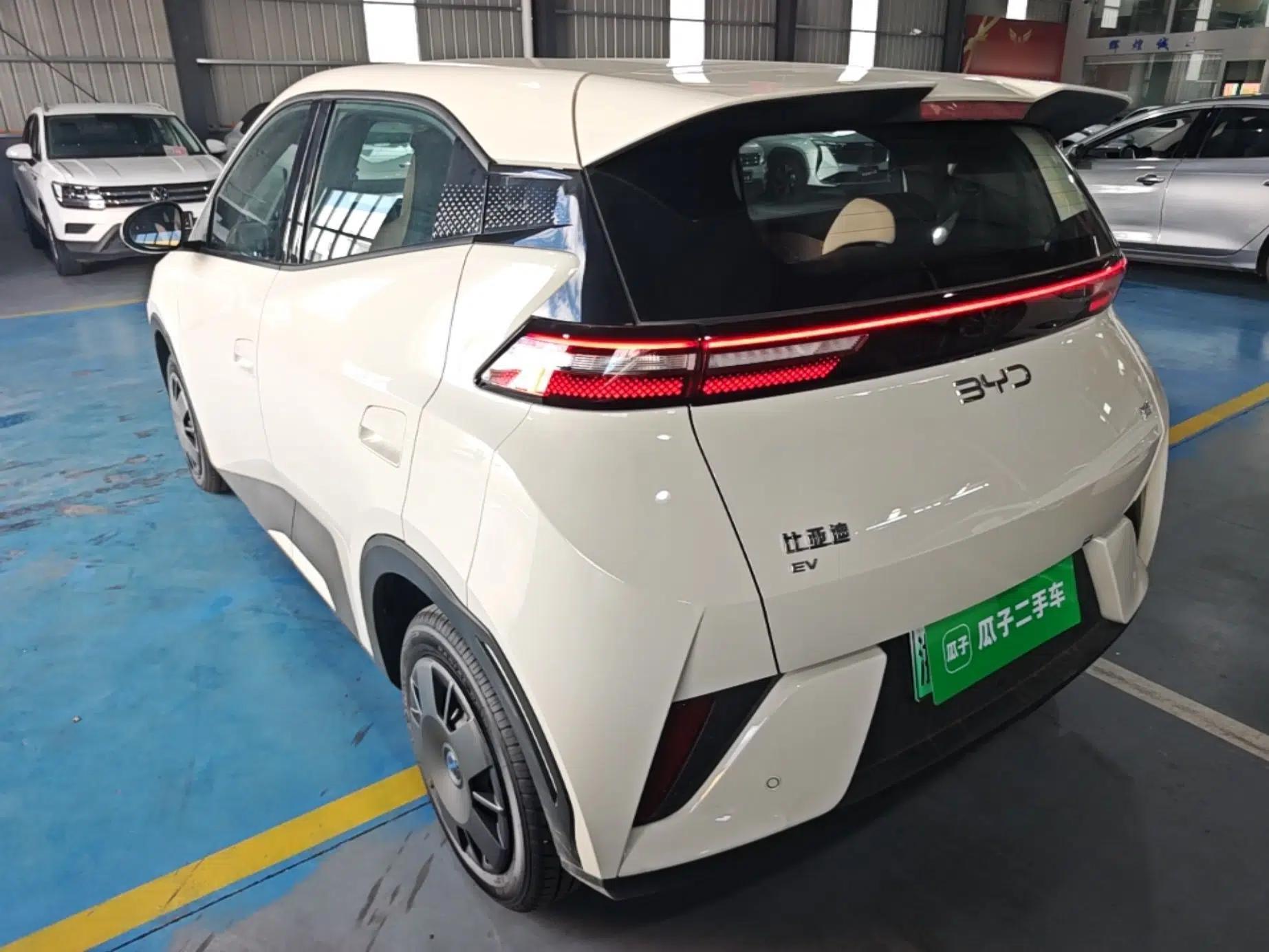 BYD Seagull 2025 Intelligent Driving Version 305 km Dynamic Edition — миниатюра 4