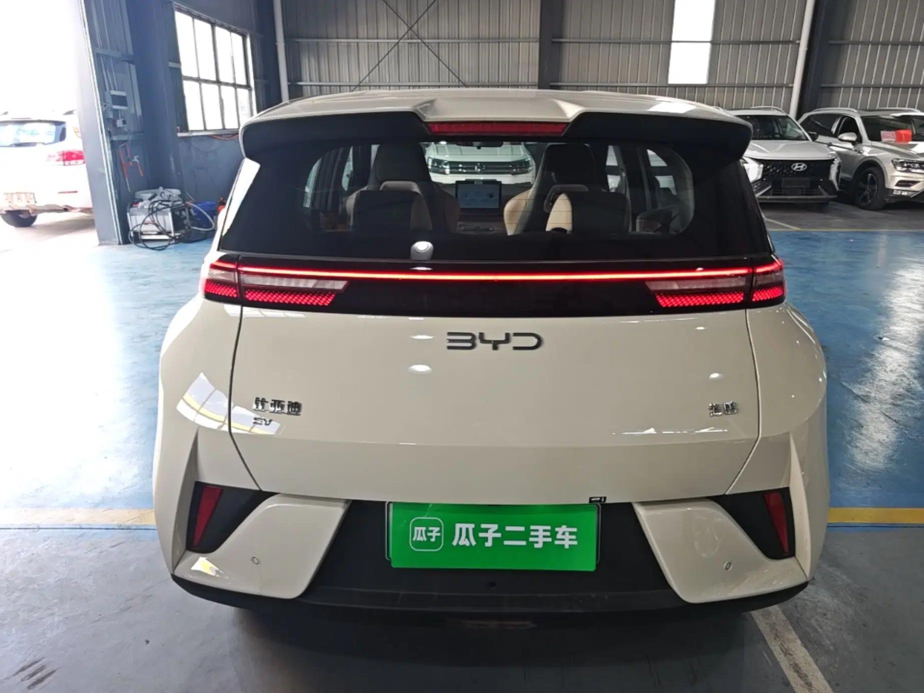 BYD Seagull 2025 Intelligent Driving Version 305 km Dynamic Edition — миниатюра 5