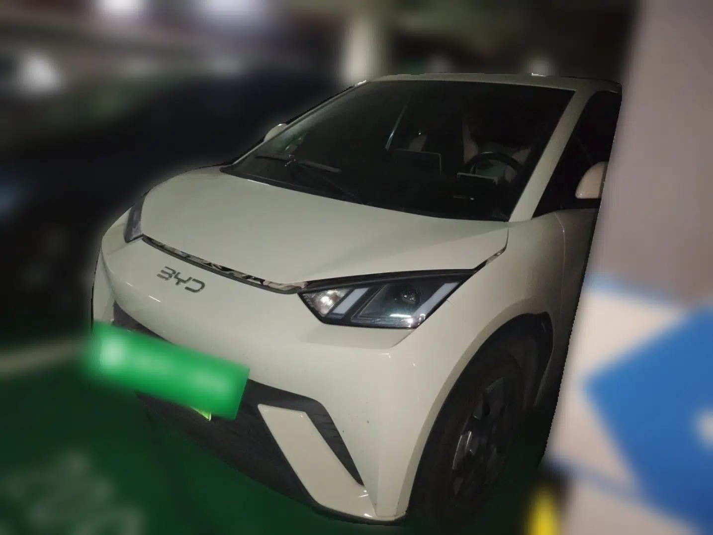 BYD Seagull 2024 Honor Edition 405km Flying Version — миниатюра 1