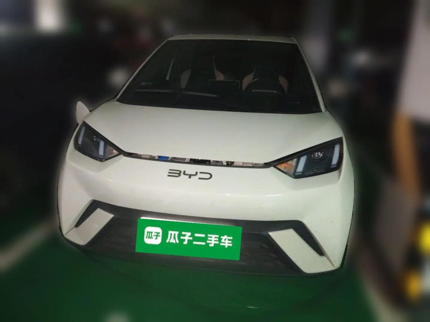 BYD Seagull 2024 Honor Edition 405km Flying Version — миниатюра 2