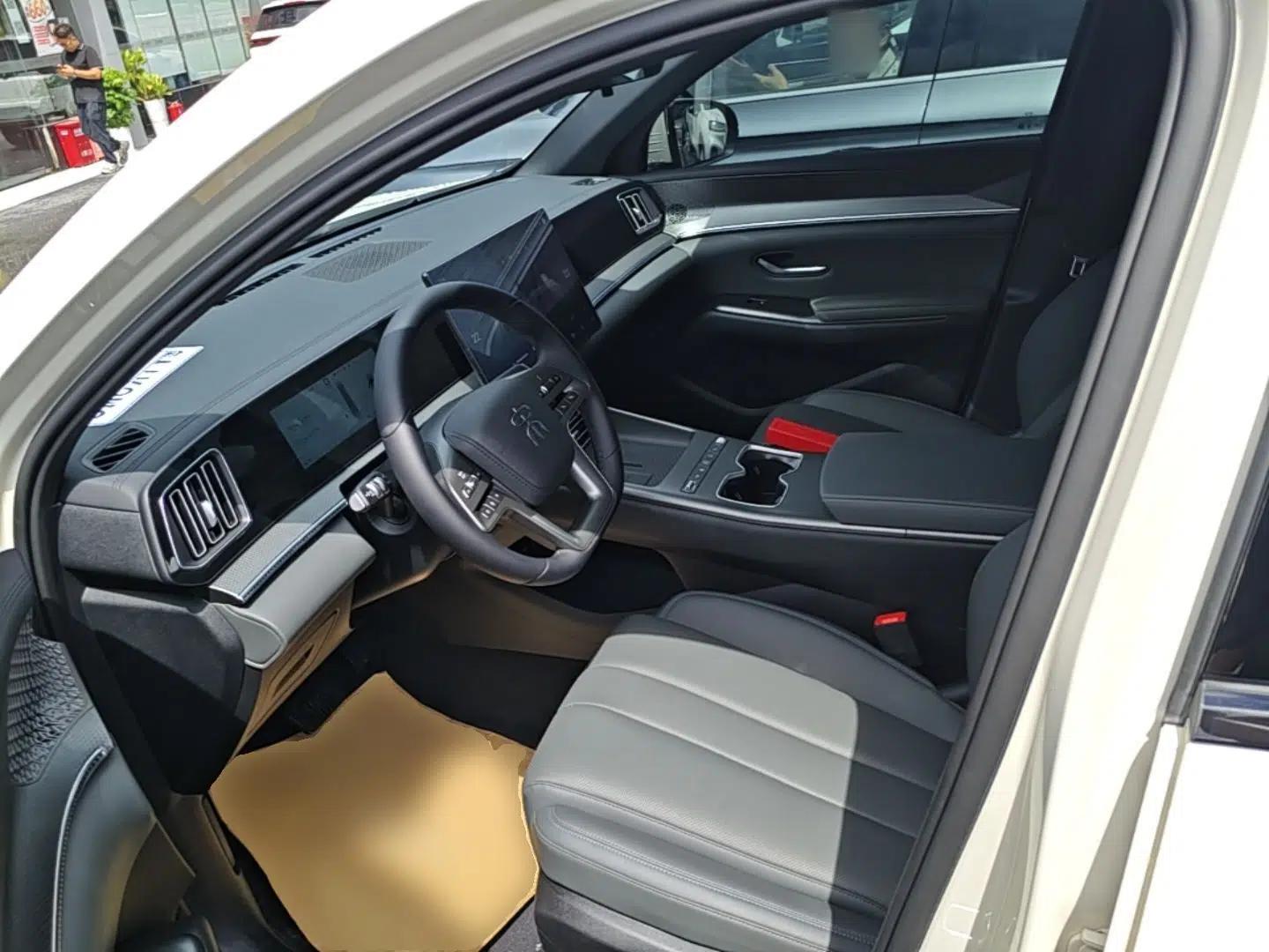 BYD Song Pro New Energy 2026 Model DM-i 220KM Beyond Version — миниатюра 17