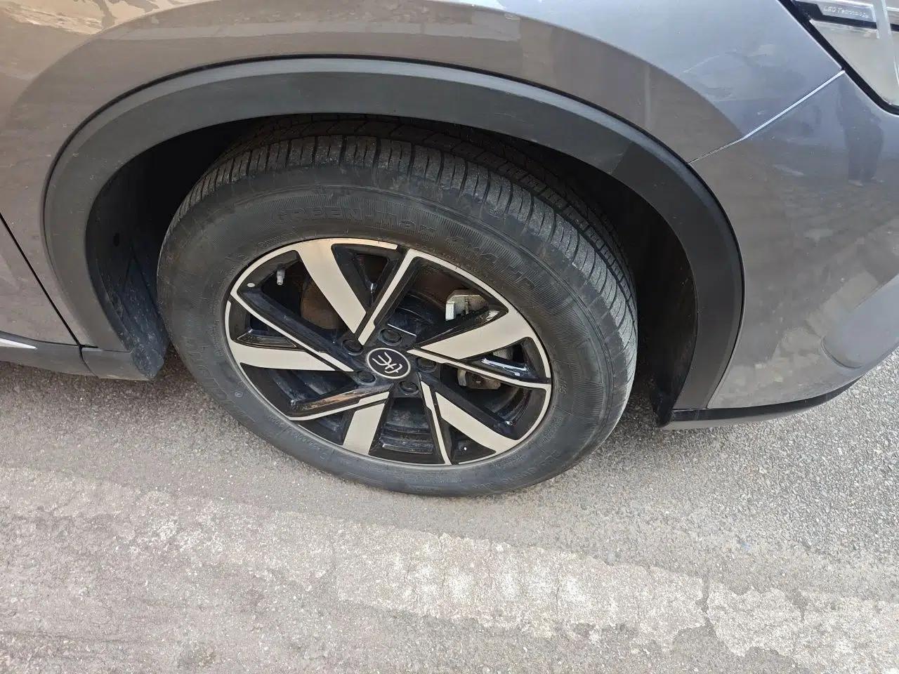 BYD Song Pro New Energy 2023 Champion Edition DM-i 110KM Beyond Model — миниатюра 5