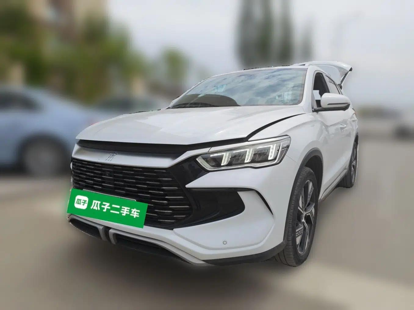 BYD Song Pro New Energy 2023 Champion Edition DM-i 110KM Excellence Model — миниатюра 1