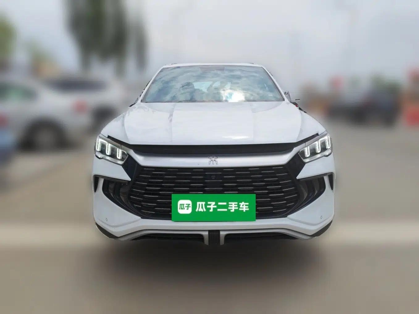BYD Song Pro New Energy 2023 Champion Edition DM-i 110KM Excellence Model — миниатюра 2