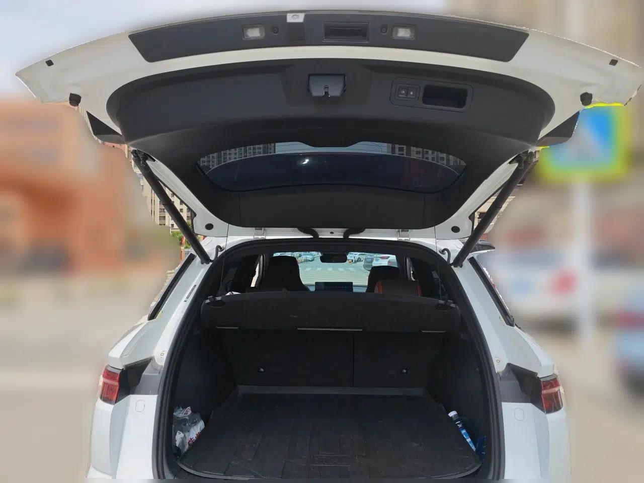 BYD Song Pro New Energy 2023 Champion Edition DM-i 110KM Excellence Model — миниатюра 19