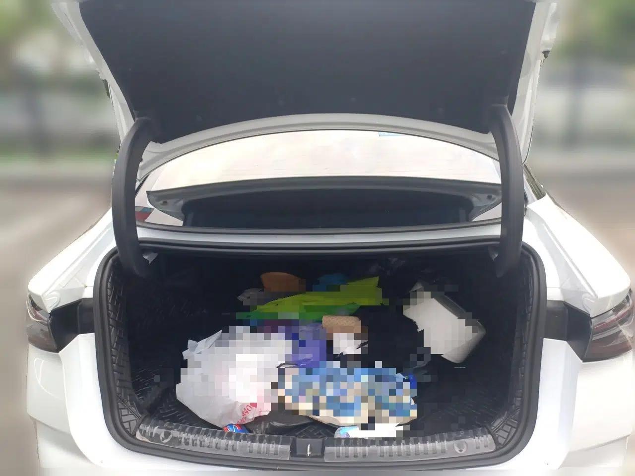 BYD Seal 06 New Energy 2024 DM-i 80KM Prestige Model — миниатюра 19