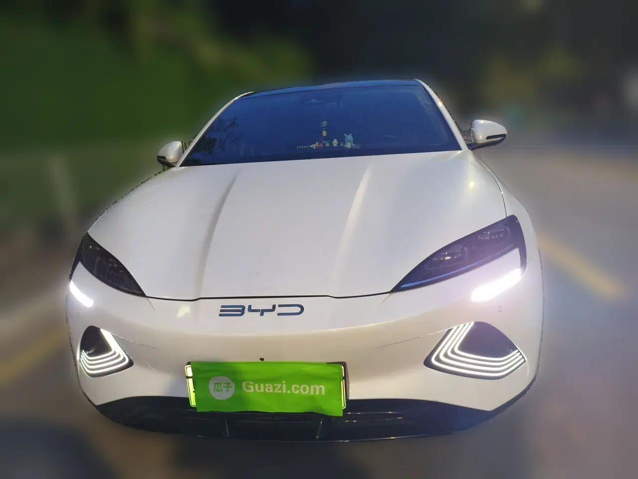 BYD Seal 2022 550 km Standard Range Rear-Wheel Drive Prestige Version — миниатюра 2