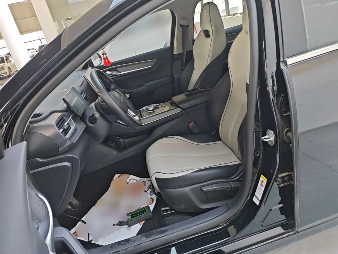 BYD Destroyer 05 2024 HONOR Edition DM-i 55KM Luxury Model — миниатюра 17