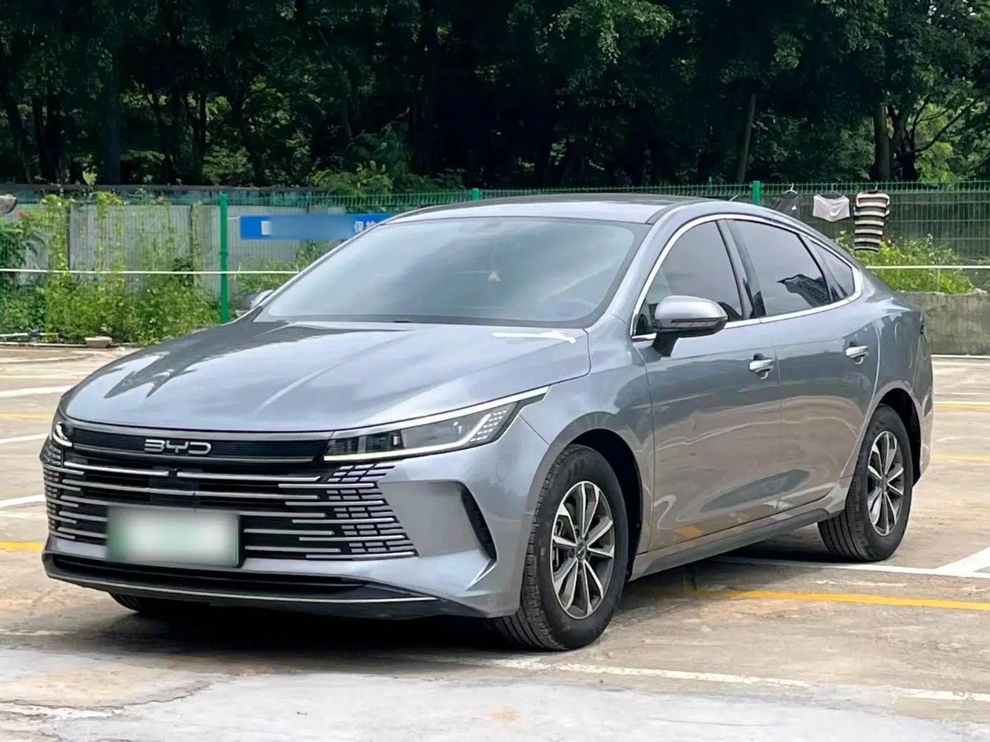 BYD Destroyer 05 2024 HONOR Edition DM-i 55KM Luxury Model — миниатюра 16