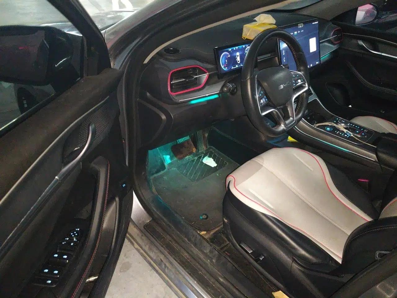 BYD Destroyer 05 2022 DM-i 120KM Flagship Model — миниатюра 13