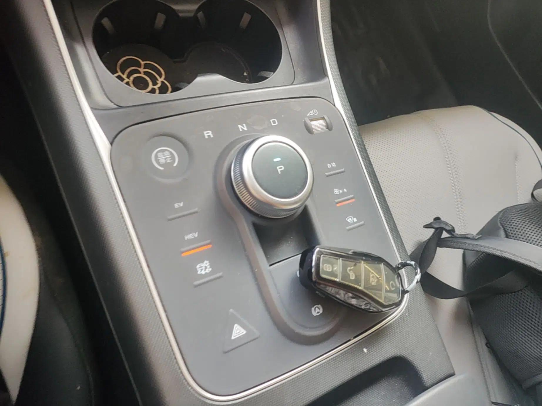 BYD Destroyer 05 2024 HONOR Edition DM-i 55KM Luxury Model — миниатюра 16