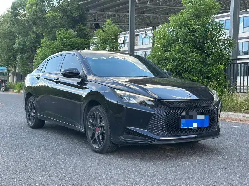 Aeolus Yixuan 2022 230T Automatic Tiger Roar Edition — миниатюра 3