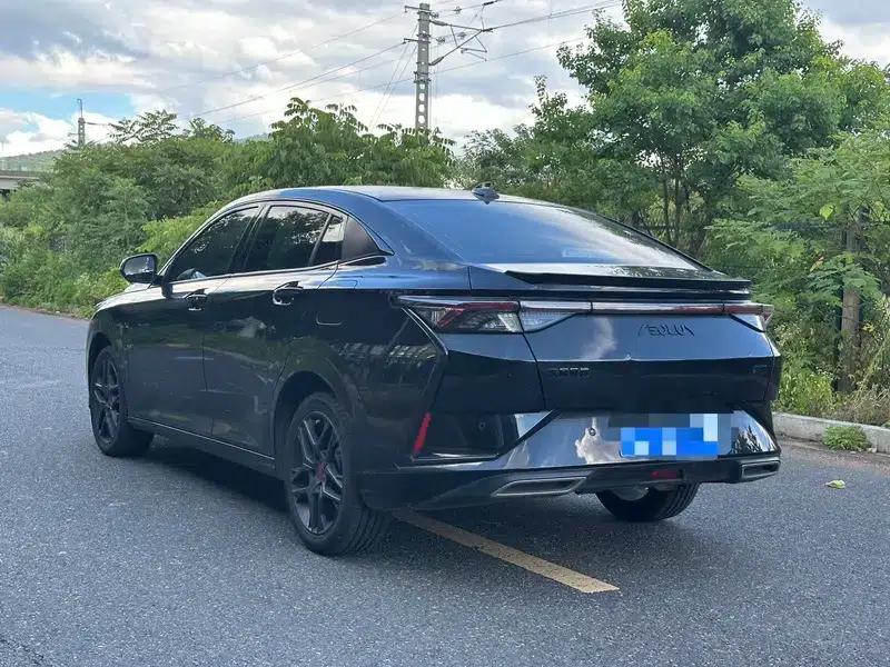 Aeolus Yixuan 2022 230T Automatic Tiger Roar Edition — миниатюра 4