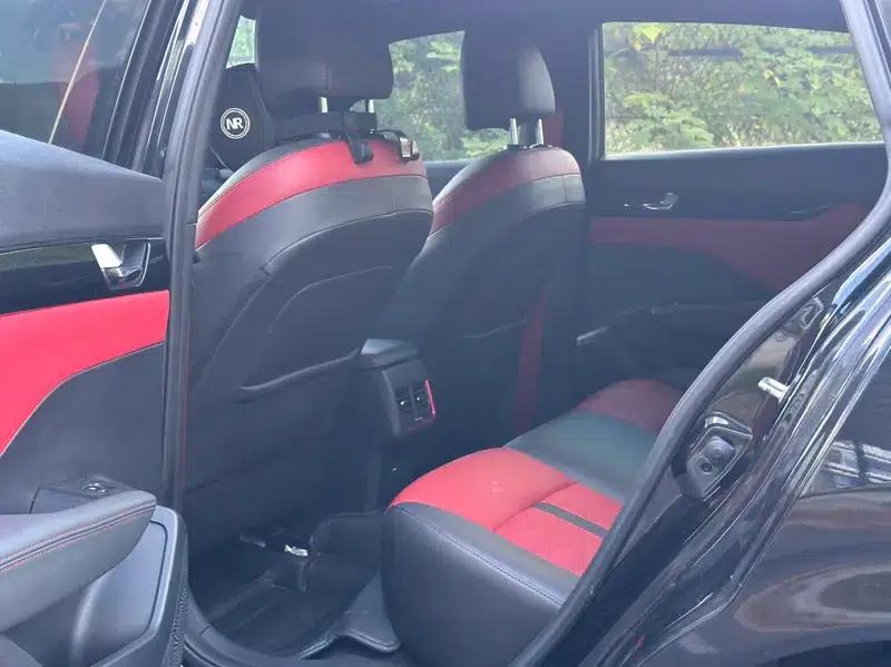 Aeolus Yixuan 2022 230T Automatic Tiger Roar Edition — миниатюра 9