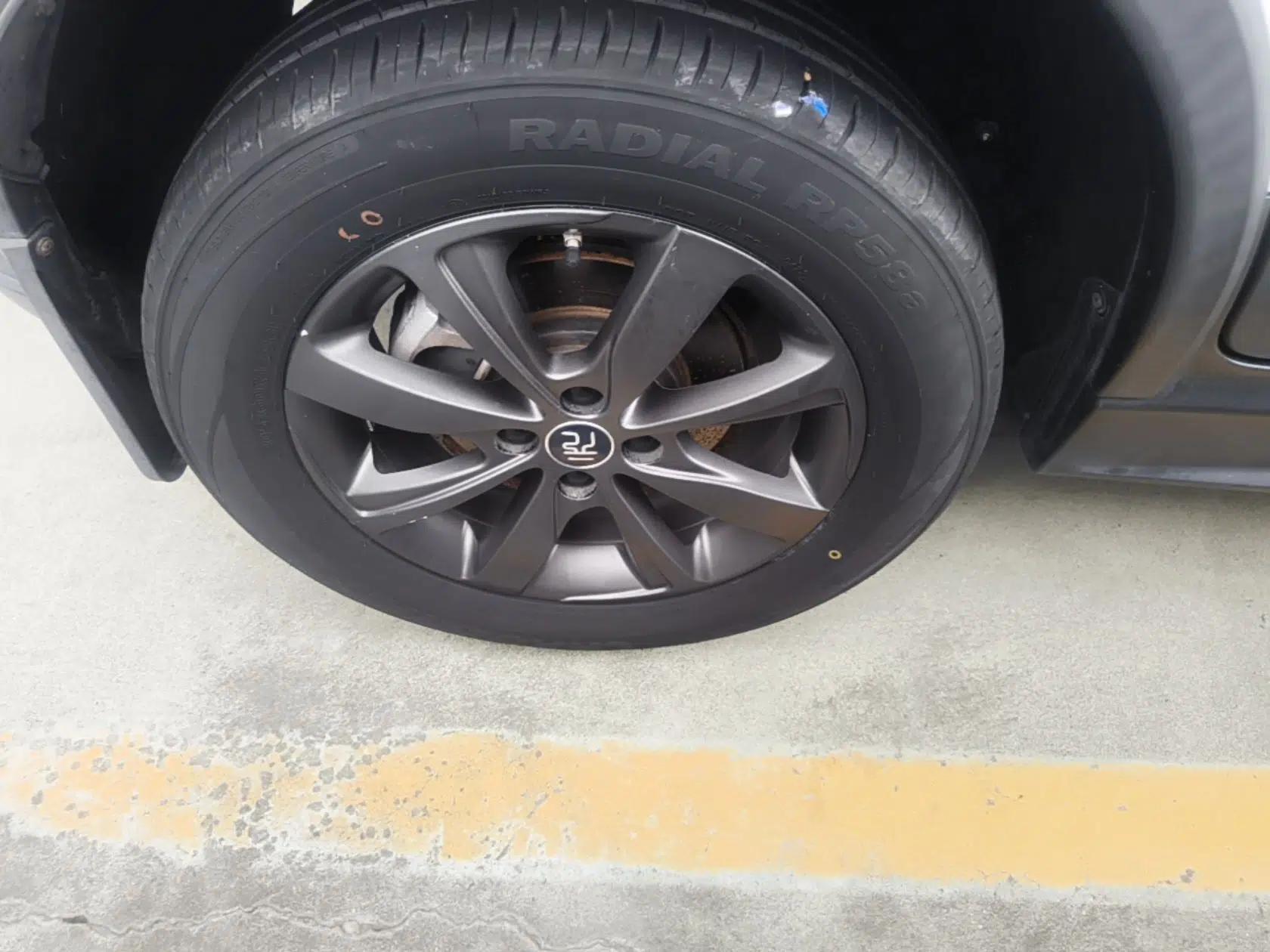 BYD Yuan New Energy 2019 EV535 Smart Connect Trendsetting Model — миниатюра 11