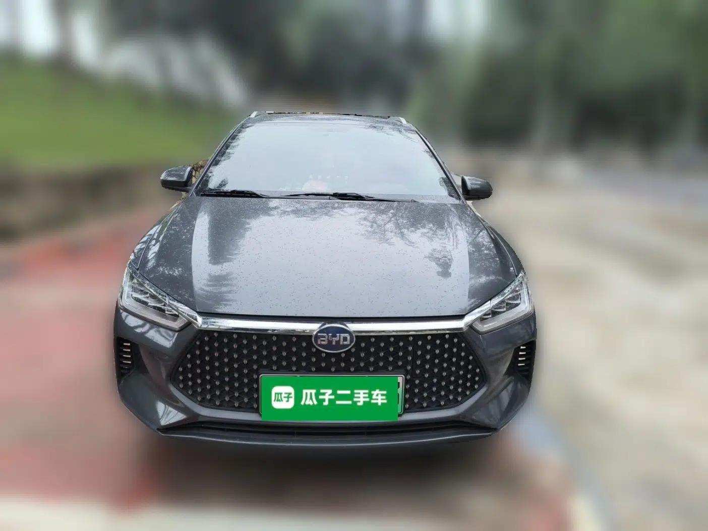BYD e2 2019 Long-Range Version Yao·Luxury Trim — миниатюра 2